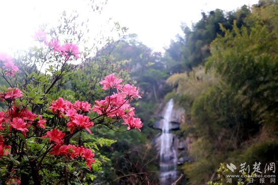 黃龍山頂，風(fēng)景如畫 黃錚 攝_副本.jpg.jpg